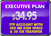 Our Executive Hosting Plan for $39.95 includes FTP Access with 500 MB Disk Space and 50 GB Transfer